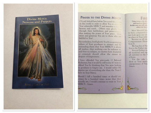 Photo of DIVINE MERCY NOVENA & PRAYERS BOOKLET DM-NV